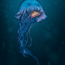 tempestmarshal avatar