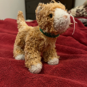 tempestuousjones avatar