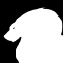 templarwarden avatar