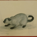 templeofwrong avatar