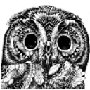 tempoprestissimo avatar