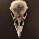 temporal-fool avatar