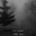 temporalinsomnia avatar