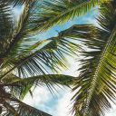 temporary-cute-username avatar