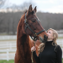 temporaryh0me avatar