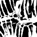 temporaryimbalance avatar