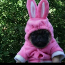 temporaryobsessions avatar