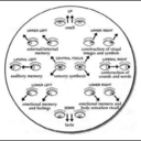 temptations-temptations avatar