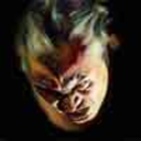 tempted-to-touch-blog avatar