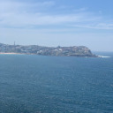 tempting-youth avatar