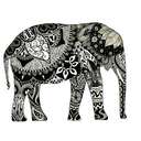 tempus-fugit-aeternitas-manet avatar