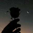 tempus-fugit-ergo-carpe-diem avatar