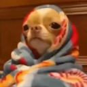 tenaciousbarbariandonut avatar