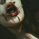 tenaciouschopshoptraveler-4-blog avatar