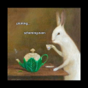 tenaciouscollectionmoon avatar