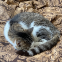 tenaciousrunawaybouquet avatar