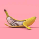 tender-banana avatar