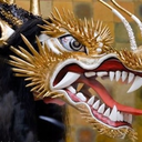 tender-dragon avatar