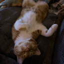 tenderlumberjack avatar