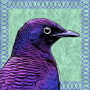 tenderlypurpledream avatar