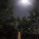 tenderlytaurus avatar