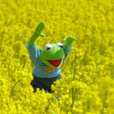 tendermornings avatar