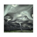 tenderszerenke avatar