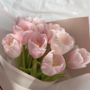 tendertulip avatar