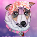 tendervulture avatar