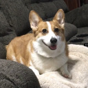 tendollarsfound avatar