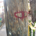 tengotombrlporti avatar