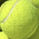 tennisiserotic avatar