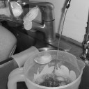 tenshi-fortis avatar