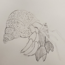 tenshi-the-foolshi avatar