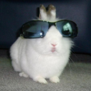 tensilelilies avatar