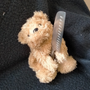 tensors-are-like-burritos avatar