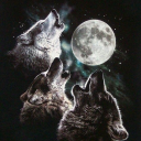 tentativeteeth avatar