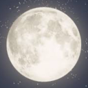 tentativetitlee avatar