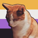 tentiredkittens avatar