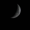 tentivelywaiting avatar