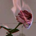 teoluna1234567 avatar