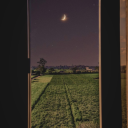 tepetaklakolankedi avatar