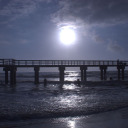 tequila-therapy avatar