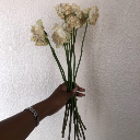 tequilachampagne avatar