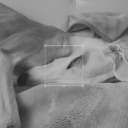 tequilaconkiwi avatar