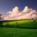 tequilamo-ckingbird avatar