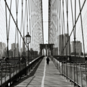 tequilaqueens avatar