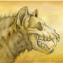 tequilasaurus avatar