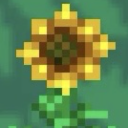 terarria-sunflower avatar