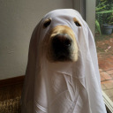 teregalo-este-mundo avatar